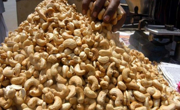 Nigeria Losing 300 Jobs For Every Thousand Metric Tonnes Of Raw Cashew Exported
