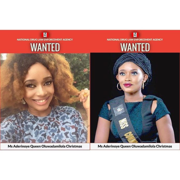 NDLEA declares ex-beauty queen, Oluwadamilola Aderinoye wanted over alleged drug trafficking